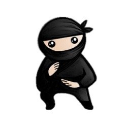 System Ninja 4.0 Latest Version Free Download