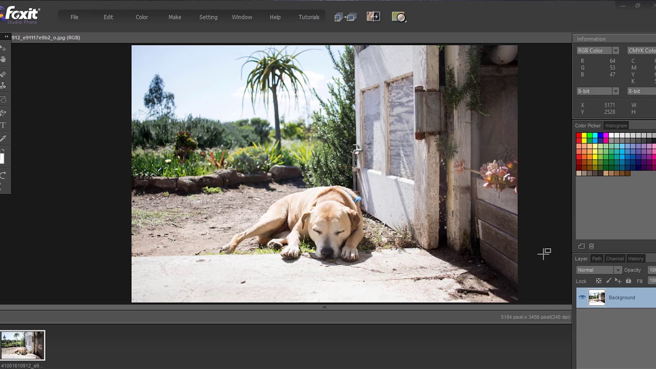 Foxit Studio Photo Crack 12.2.2 + Activation Key Latest Version